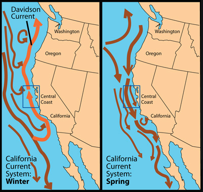 Source: Adapted from unpublished diagram by Strub