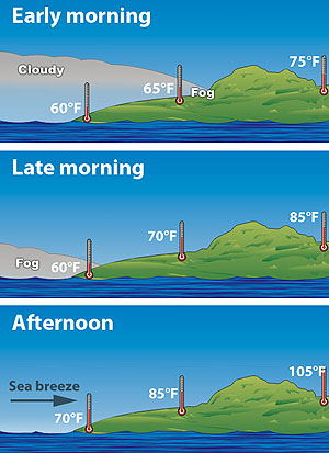 Adapted from: http://www.srh.noaa.gov/jetstream//ocean/sequence_f.htm